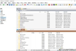 XYplorer v28.10.0400绿色便携版（文件管理器）