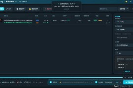 solong视频转换器 V1.1绿色版（视频格式转换与处理工具）