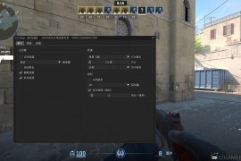 CS2 Rage内部透视静默自喵多功能辅助【成品+源码】