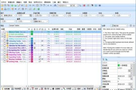 PC ToDoList v9.1.7.0绿色版（待办事项提醒）