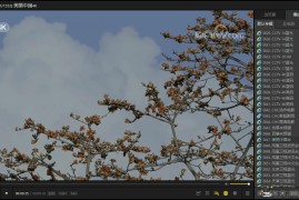 PotPlayer v1.7.22777绿色版（全能影音播放器）