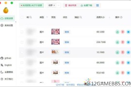 Res-downloader v3.1.3绿色版（万能素材下载器）