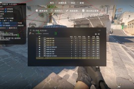 CS2 蓝调方框透视自喵锁头破解版