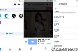 Video Downloader v2.5.0专业版（视频下载器）