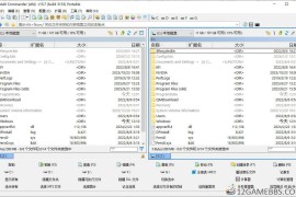 Multi Commander v15.7.0（多标签文件管理器）
